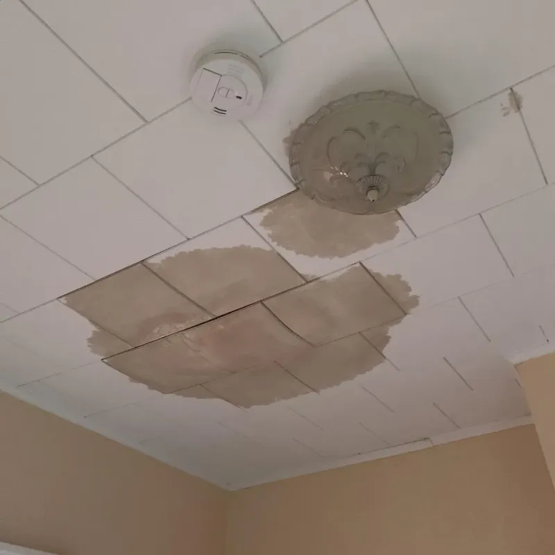 Ceiling Water Damage Repair in Centralia, WA